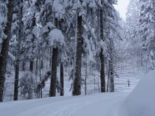 b301181914-toscana-tutta-imbiancata-tutte-le-iniziative-e-gli-appuntamenti-sciistici