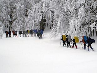 b001131626-al-cimone-torna-per-il-terzo-anno-fly-try