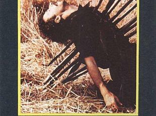 b212151820-cittadinanza-onoraria-ai-fratelli-taviani