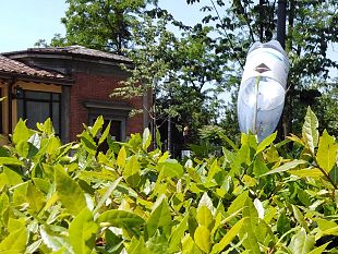 viale-galileo-il-mistero-delle-bottiglie-infilate-sulle-piante