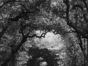 inaugurata-carlo-cantini-il-suono-delle-immagini