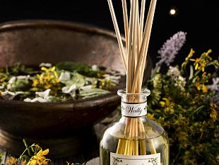 wally-1925-le-erbe-di-san-giovanni