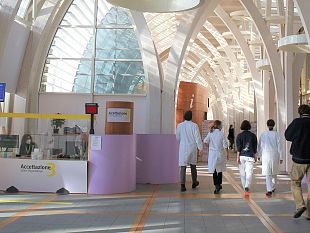 avis-toscana-e-ferragamo-insieme-per-il-meyer