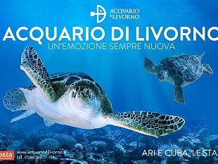 lacquario-di-livorno-presenta-le-novita-2014