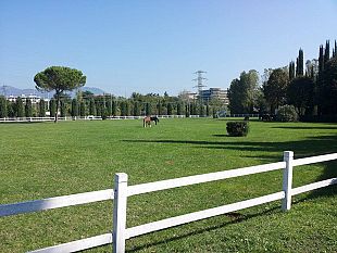 centro-ippico-toscano-firenze-puo-morire-di-burocrazia-e-di-verita