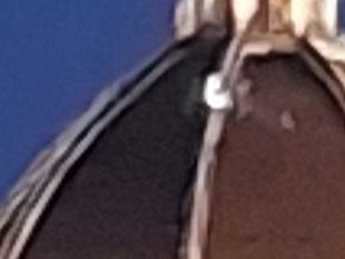 santa-maria-del-fiore-lucciole-umane-sulla-cupola