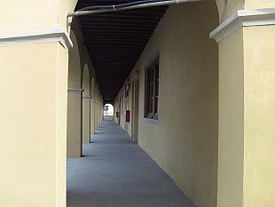 firenze-rinascera-in-autunno