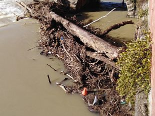 pescaia-di-santa-rosa-gli-spettc