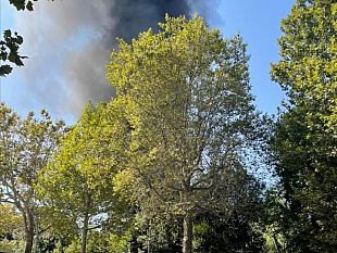incendio-al-four-season-alta-nuvola-di-fumo