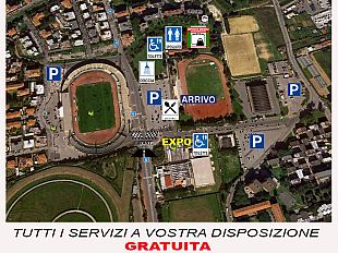 domenica-la-livorno-half-marathon