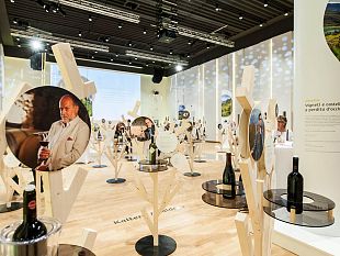 i-vini-dellalto-adige-in-tour-il-7-ottobre-a-firenze-50-etichette-in-degustazione