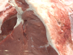 bistecca-alla-fiorentina-e-pomodoro-borsa-di-montone-tra-i-pat