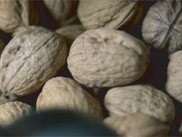 chiantimutua-ecco-il-nuovo-cda-delliniziativa-di-welfare-di-chiantibanca