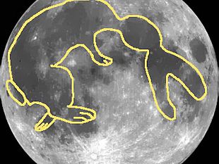 prato-il-coniglio-sulla-luna-al-museo-di-scienze-planetarie