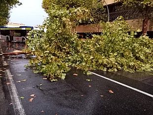 ore-1730-scoppia-il-temporale-a-firenze