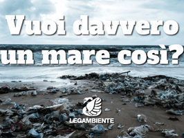 la-plastica-monouso-via-dagli-scaffali-dei-coopfi