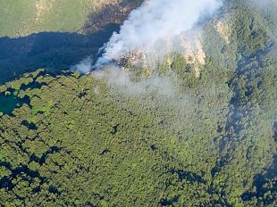 incendio-a-vicchio-15-ettari-bruciati-a-la-colla