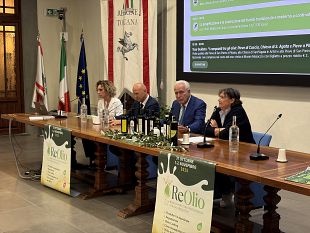 la-rassegna-dellolio-extravergine-di-oliva-di-reggello