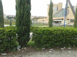 san-donato-il-central-park-di-firenze-e-un-bidone-di-rifiuti