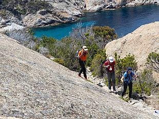 ripartono-le-visite-guidate-a-montecristo