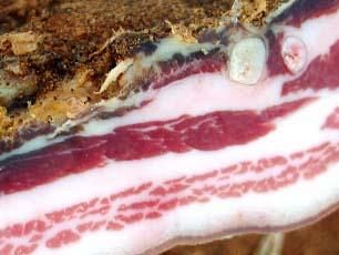 tarese-del-valdarno-dal-21-marzo-nuovo-piatto-dellalleanza-dei-cuochi-aderenti-a-slow-food