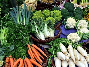 sovrappeso-un-bambino-su-4-crociata-contro-il-cibo-spazzatura