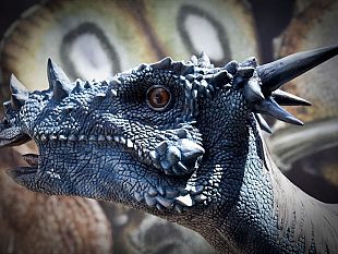 b205111643-come-ricostruire-un-dinosauro-il-lavoro-del-paleontologo