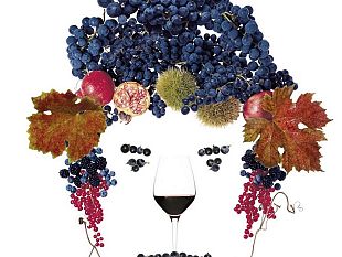 ungulati-nuovo-incidente-a-firenze