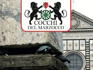 concorso-internazionale-di-carrozze-depoca-originali