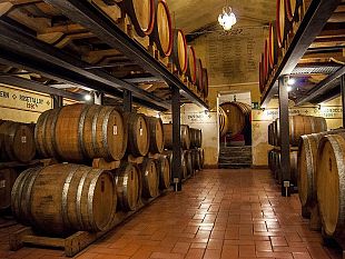 gemellaggio-montalcino-napa