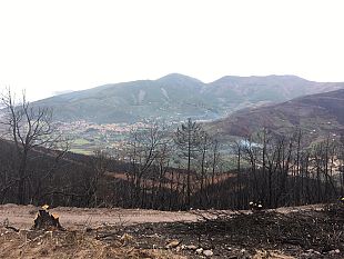 brucia-bosco-ai-piedi-del-monte-amiata