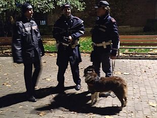 ricoverata-per-covid-e-costretta-a-lasciare-solo-il-cane