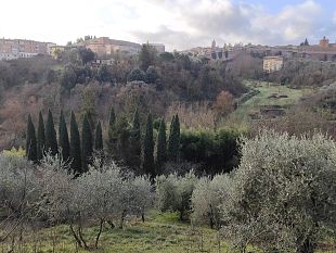 usucapione-di-un-terreno-dopo-un-possesso-ultraventennale