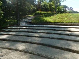 taglio-alberi-e-il-turno-di-un-centinaio-di-pini-neri-tra-viale-michelangelo-e-bobolino