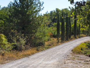 turismo-in-toscana-durante-e-dopo-lemergenza-sanitaria