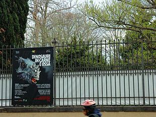 b203282249-cruccolini-indecente-occultare-con-lunghe-fasce-di-plastica-l-orto-botanico