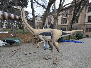 b205291351-come-allevare-un-dinosauro-oltre-50000-visitatori-all-orto-botanico