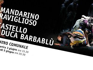 b205272041-bartok-al-maggio