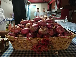 cipolla-di-certaldo-in-sagra-dal-23-agosto-a-certaldo