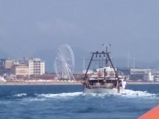 prende-squalo-mako-pescatore-nel-mirino-della-guardia-costiera