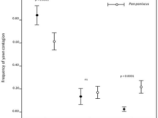 empatia-luomo-vince-sempre