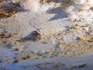 infiltrazioni-nel-condominio-ecco-a-chi-spetta-pagare