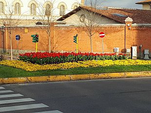 invasioni-botaniche-a-firenze-da-renzi-a-nardella-piace-il-decoro-floreale