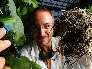 prato-il-progetto-di-forestazione-urbana-diventa-un-esempio-nazionale