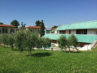 fondazione-meyer-e-consorzio-pane-toscano-dopsana-alimentazione-e-pasta-madre