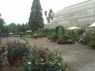 giardino-dellorticoltura-al-via-una-grande-riqualificazione