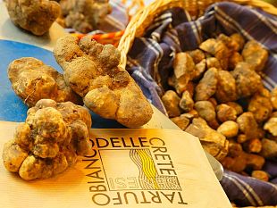 san-giovanni-dasso-olio-e-tartufo-bianco-le-eccellenze-toscane