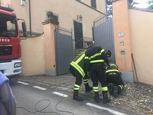 i-vigili-del-fuoco-salvano-un-riccio
