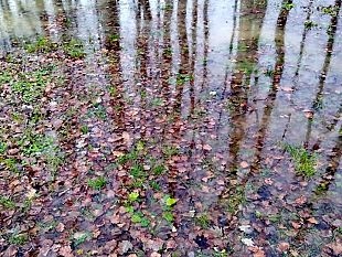 pioggia-e-temporali-codice-giallo-per-venerdi-5-gennaio