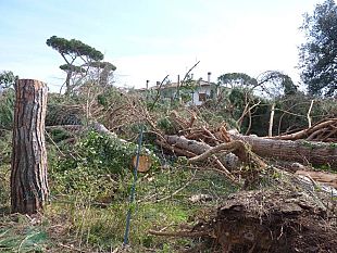 maltempo-la-segnalazione-dei-danni-a-case-negozi-e-imprese